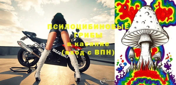 ешки Горно-Алтайск