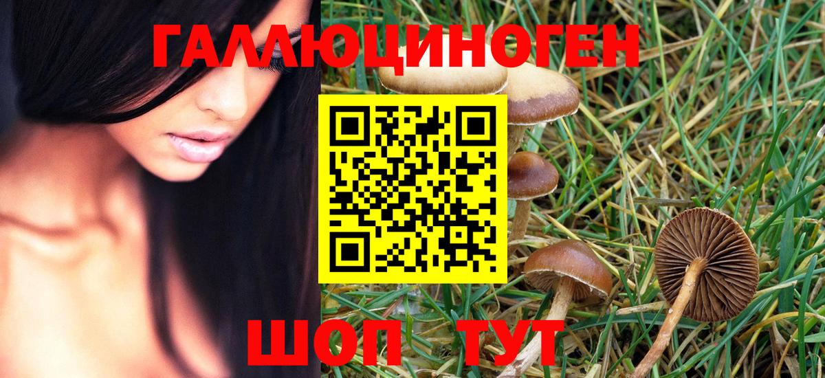 Псилоцибиновые грибы GOLDEN TEACHER Дивногорск