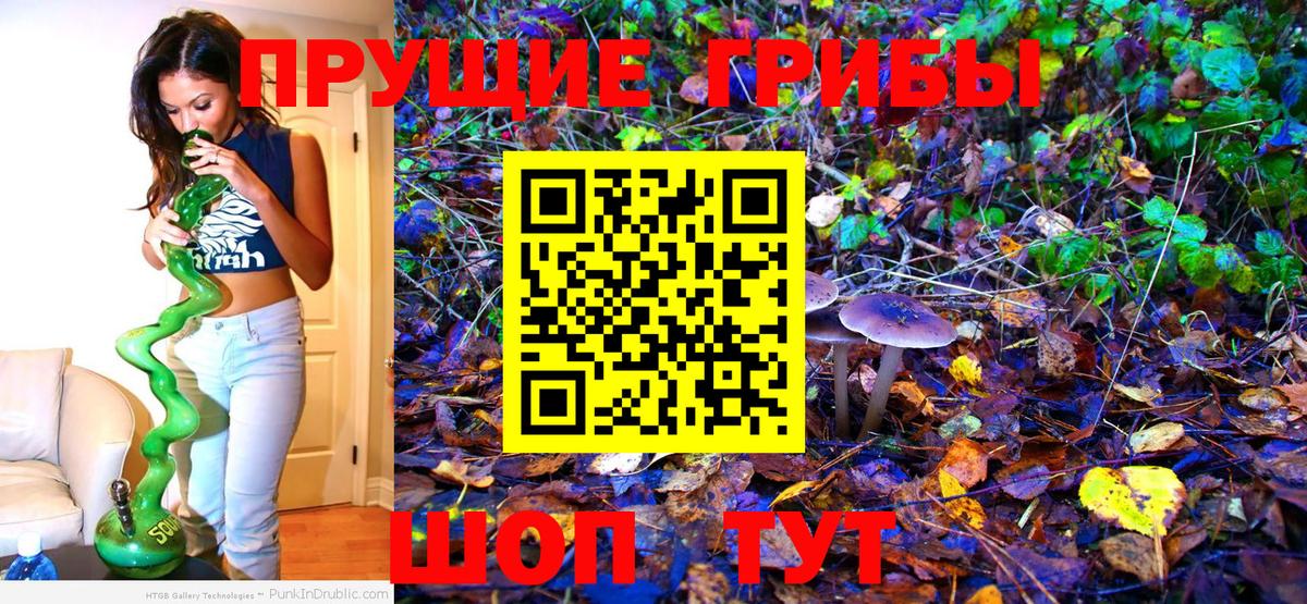 Галлюциногенные грибы Psilocybine cubensis Дивногорск
