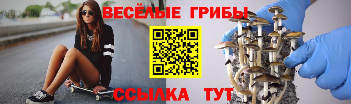 Дивногорск  где купить наркоту  Вход с VPN  Галлюциногенные грибы мицелий 